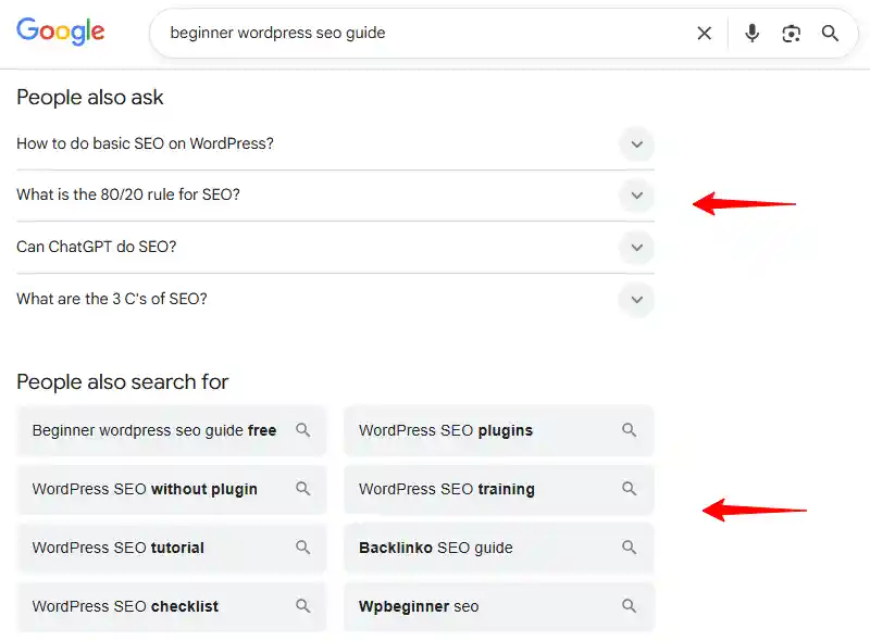 Google Search People Also Ask Section
