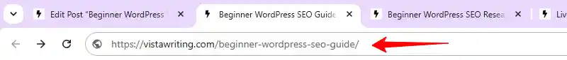 beginner WordPress SEO guide permalink