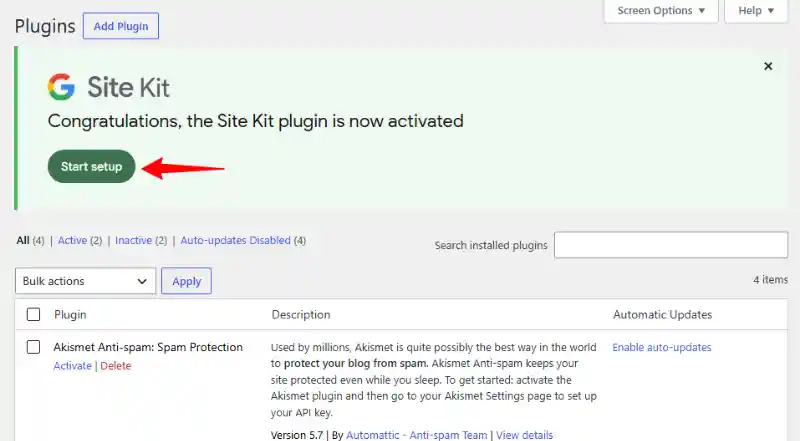 Site Kit by Google Setup Wizard