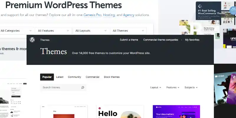WordPress SEO themes